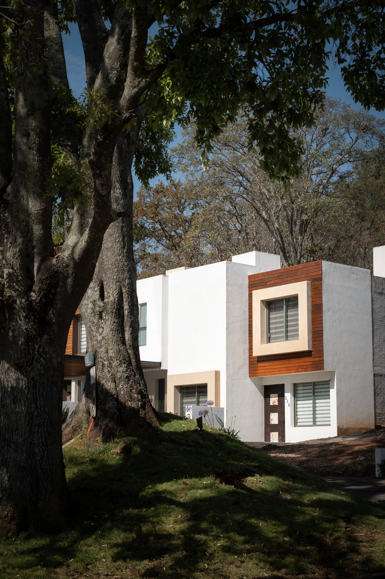 Fachada contemporánea